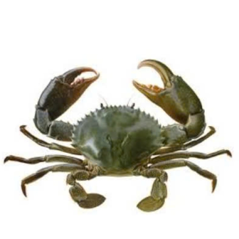 Cua Cà Mau - 1KG