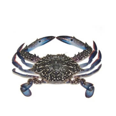 Ghẹ Xanh - 1KG