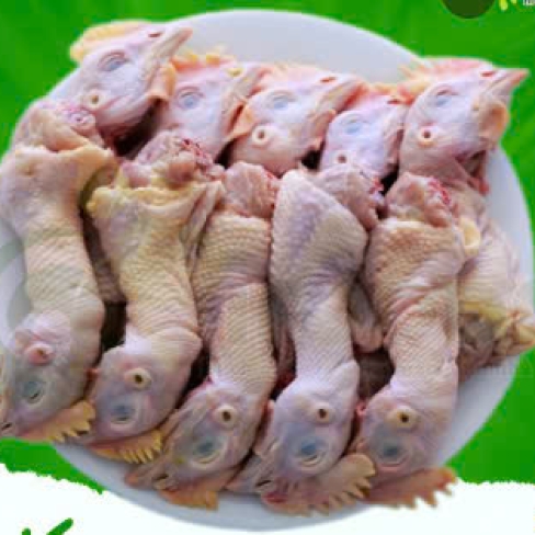 Đầu gà tươi